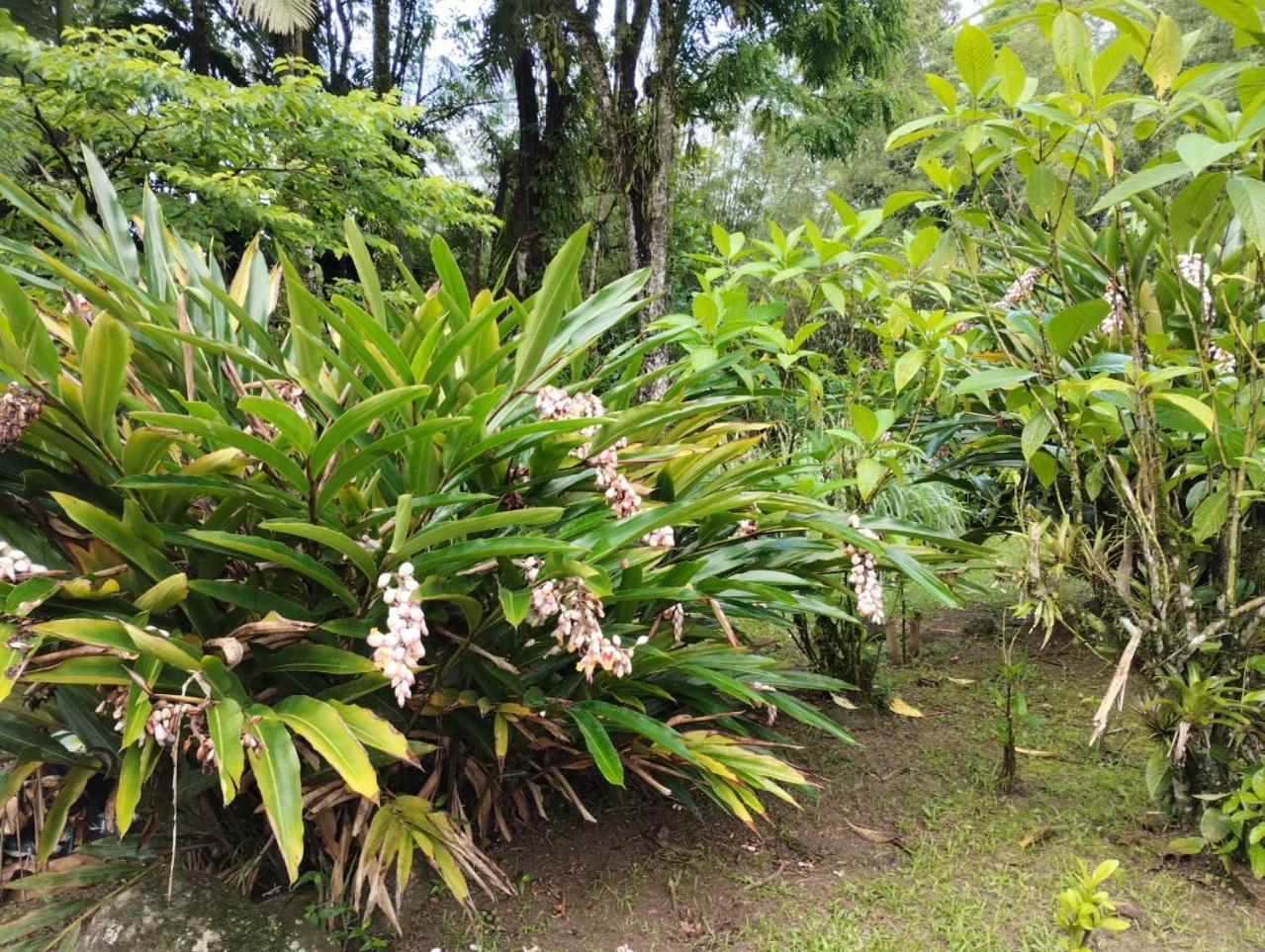 Pousada Morretes Arraial Buitenkant foto
