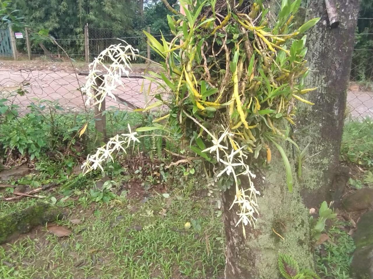 Pousada Morretes Arraial Buitenkant foto