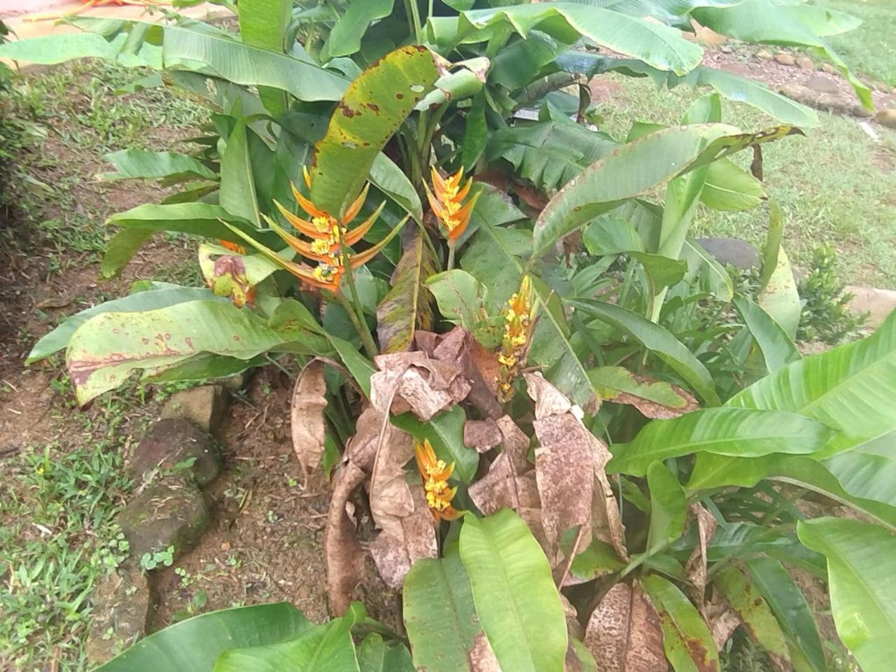 Pousada Morretes Arraial Buitenkant foto